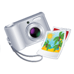 excursions activities Aurora Cruises and Travel