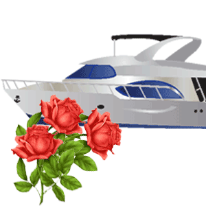 cruise wedding planner aurora cruises and travel
