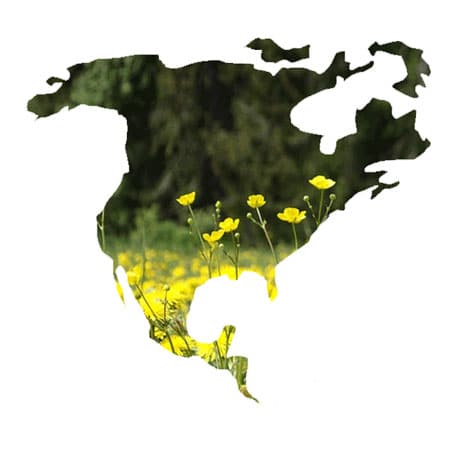 North America Aurora Cruises and Travel