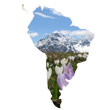 South America cruises Aurora Cruises and Travel