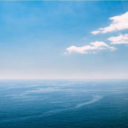 free cruise consultation